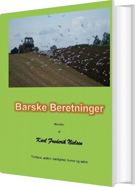 Billede af Barske Beretninger - Karl Fr. Nielsen - Bog