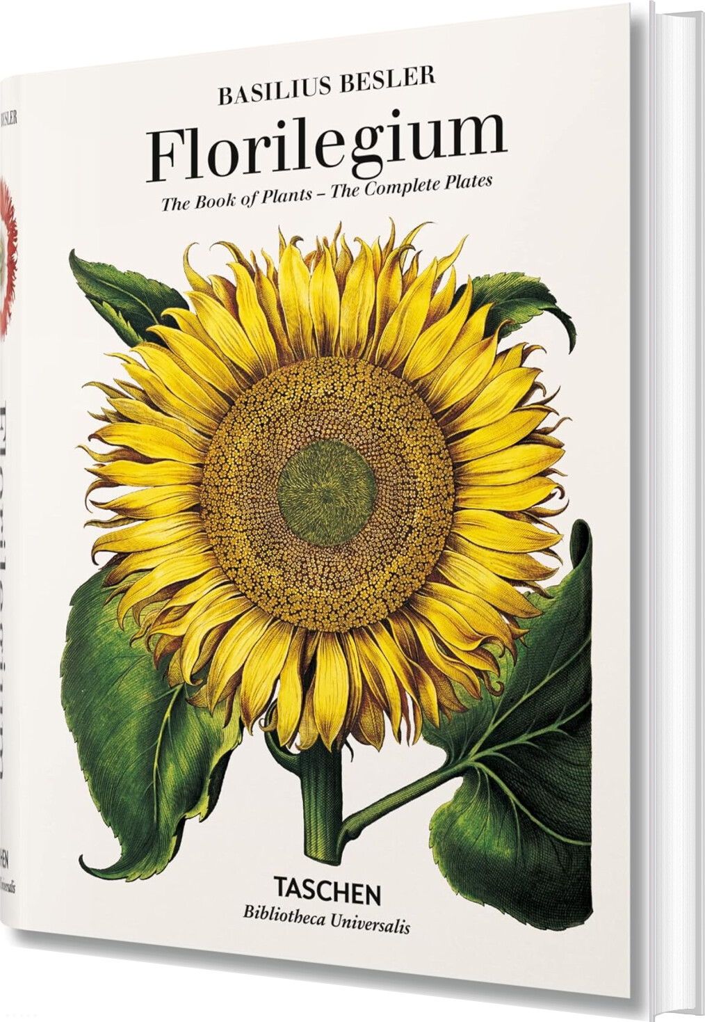 Florilegium - Basilius Besler - English Book