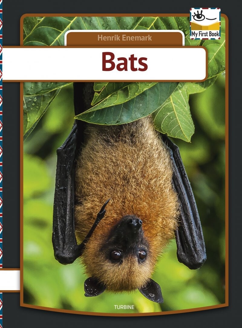 Billede af Bats - Henrik Enemark - English Book