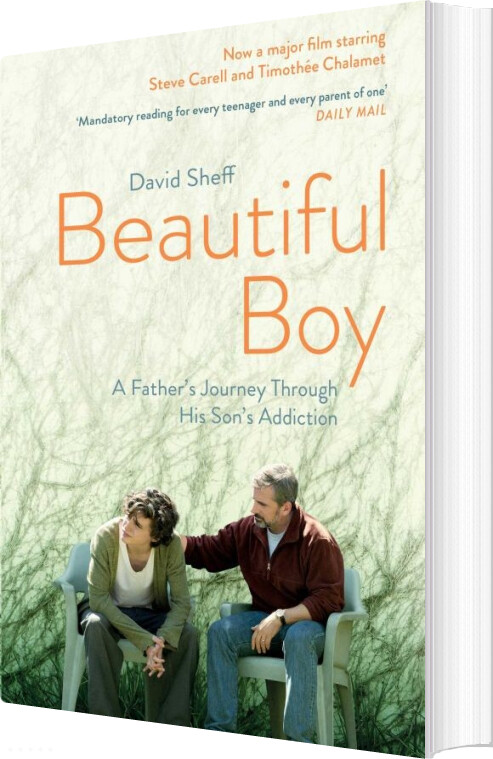 Beautiful Boy - David Sheff - English Book