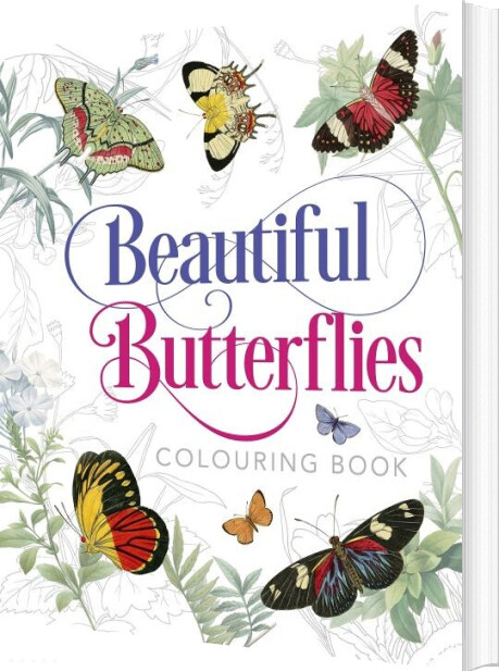 Beautiful Butterflies Colouring Book - Peter Gray - English Book