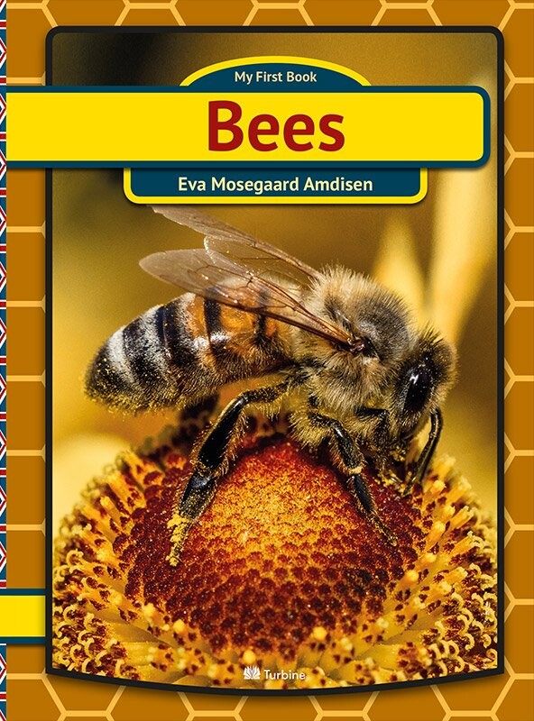 Billede af Bees - Eva Mosegaard Amdisen - Bog