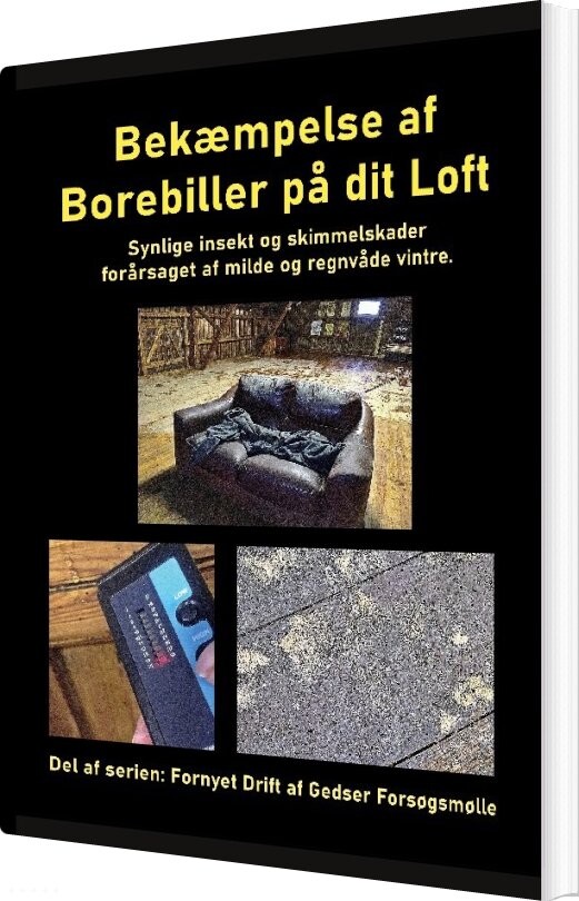 Bekæmpelse Af Borebiller På Dit Loft - Gitte Ahrenkiel - Bog
