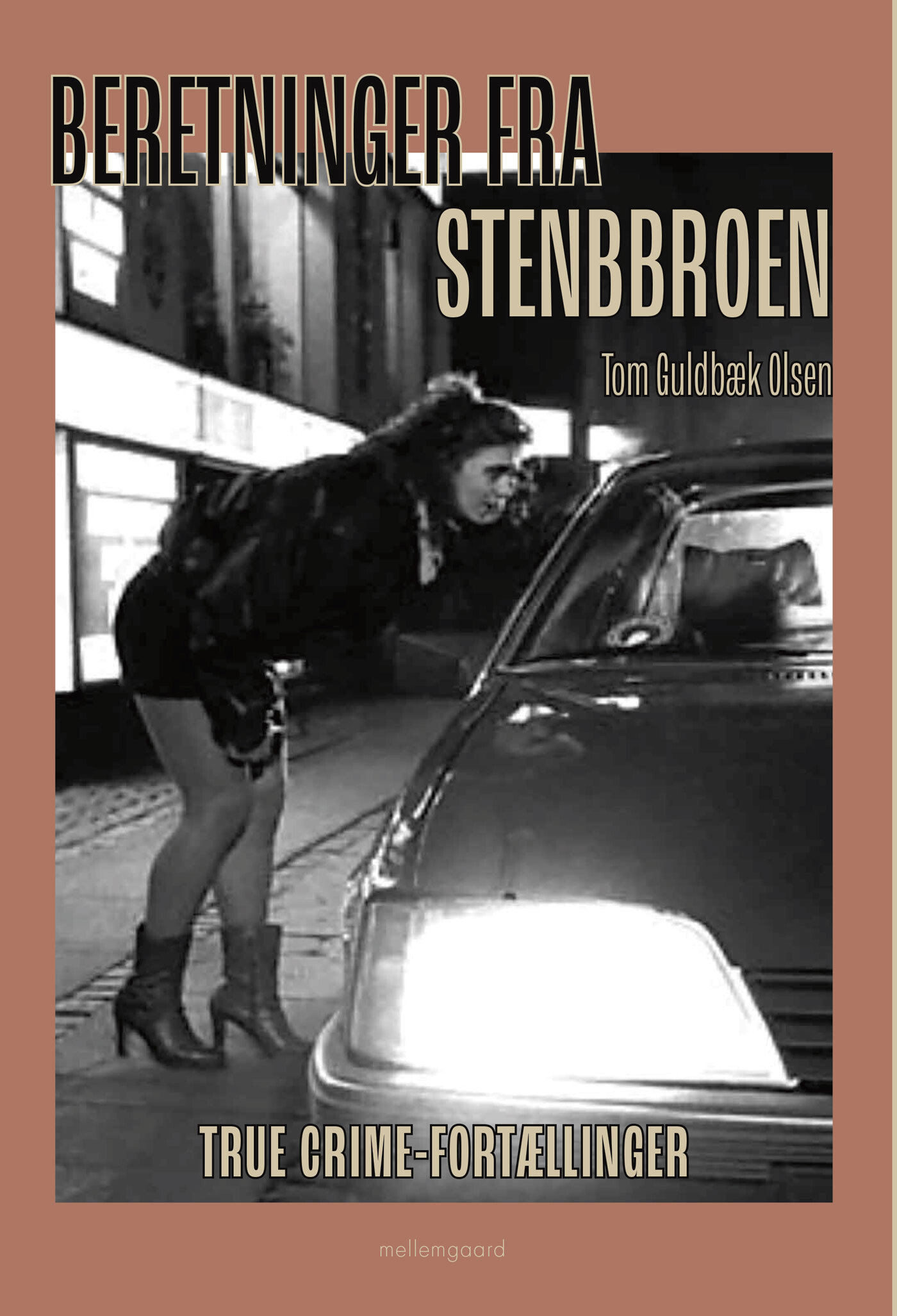 Beretninger Fra Stenbroen - Tom Guldbæk Olsen - Bog