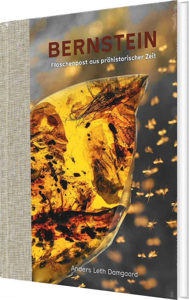 Bernstein - Flaschenpost Aus Prähistorischer Zeit - Anders Leth Damgaard - Tysk Bog