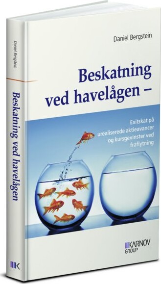 Billede af Beskatning Ved Havelågen - Daniel Bergstein - Bog