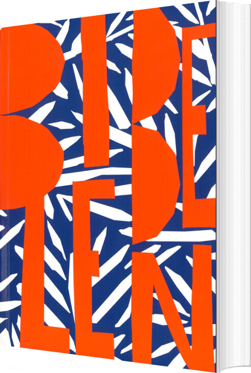 Bibelen 2020 Til Konfirmander - Bog