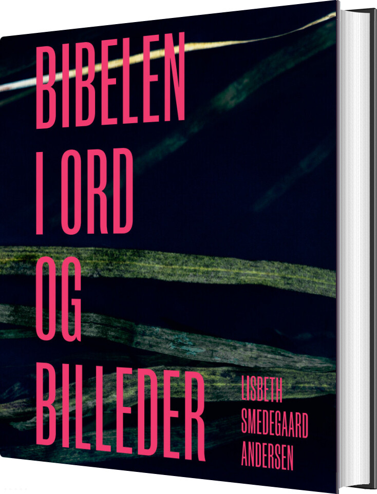 Bibelen I Ord Og Billeder - Lisbeth Smedegaard Andersen - Bog