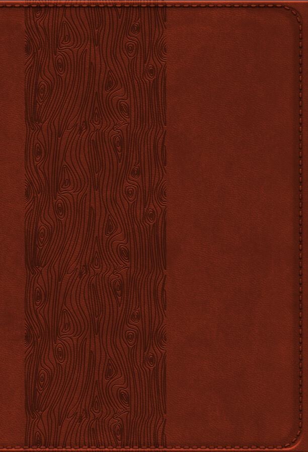 Bibelen På Hverdagsdansk, Brun, Pu - Bog