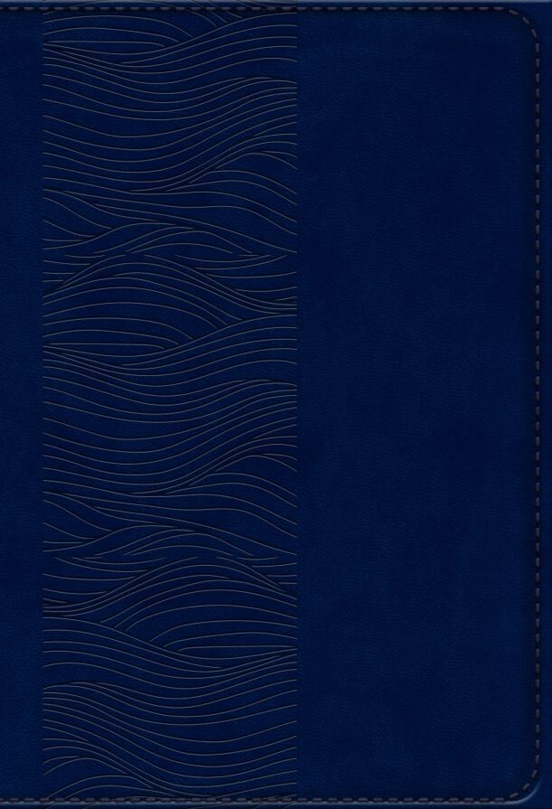 Bibelen På Hverdagsdansk, Navy, Pu - Bog