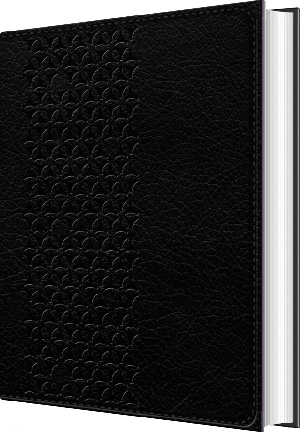 Bibelen På Hverdagsdansk, Sort, ægte Læder - Bog