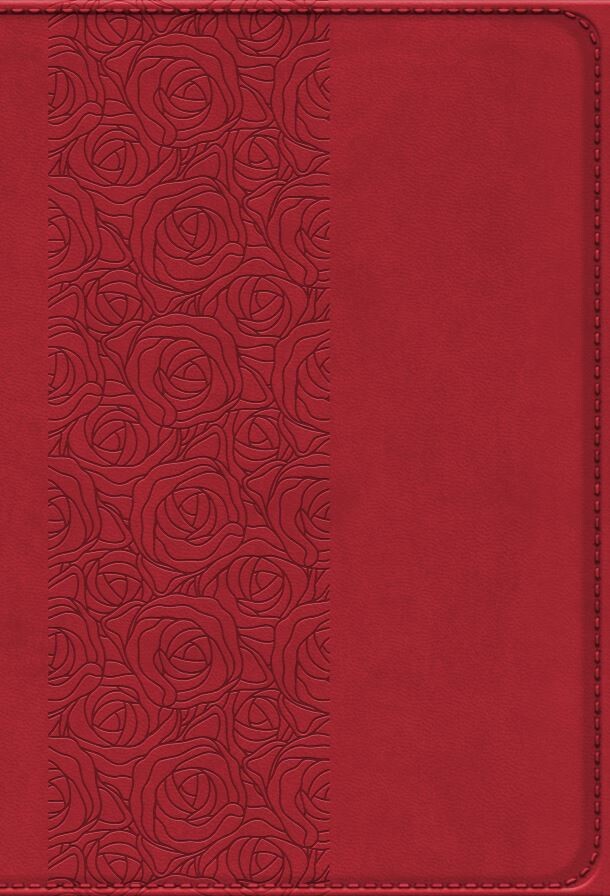 Bibelen På Hverdagsdansk, Vinrød, Pu - Bog