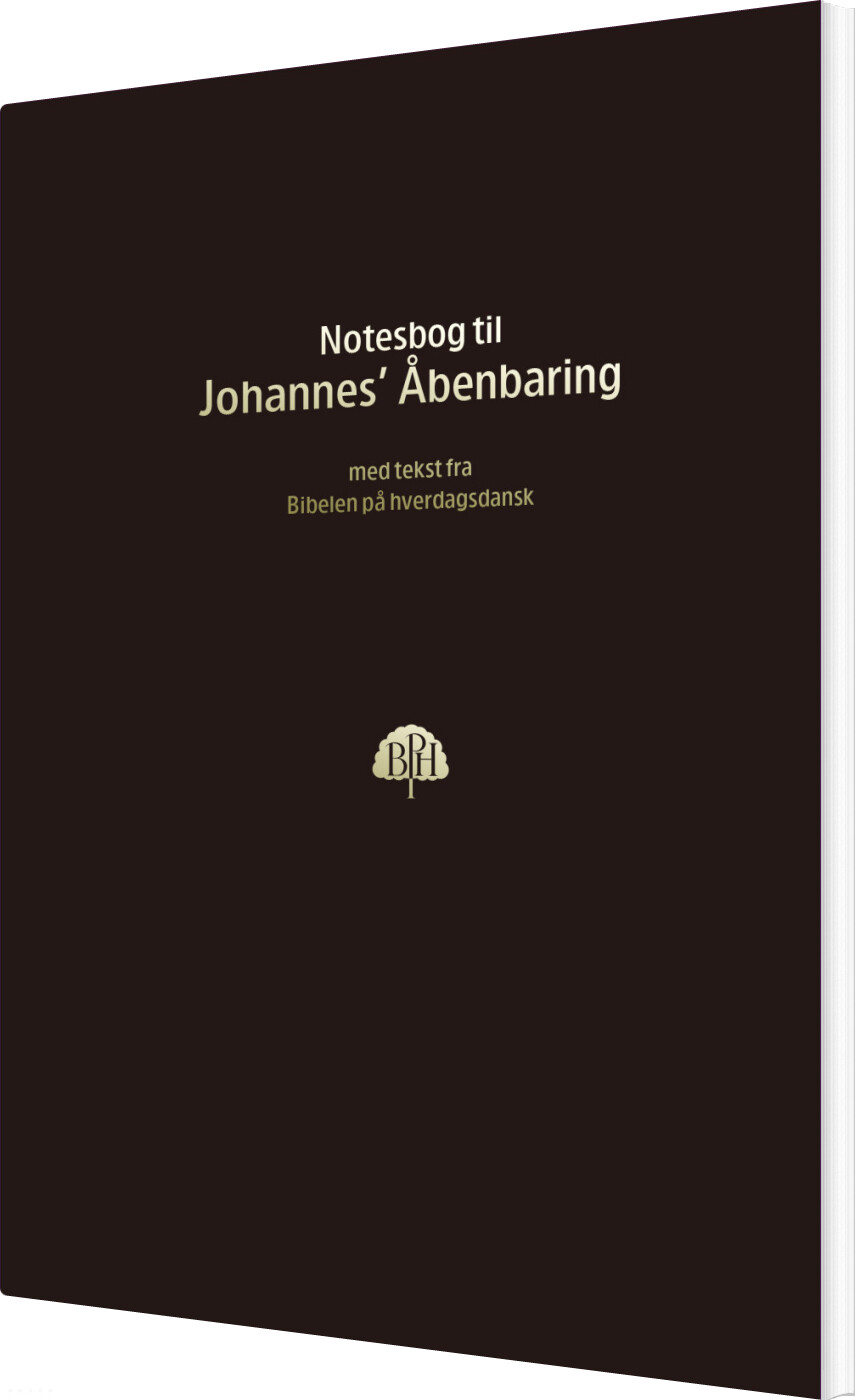Billede af Bibelnotesbog 13 - Johannes' åbenbaring - Bog