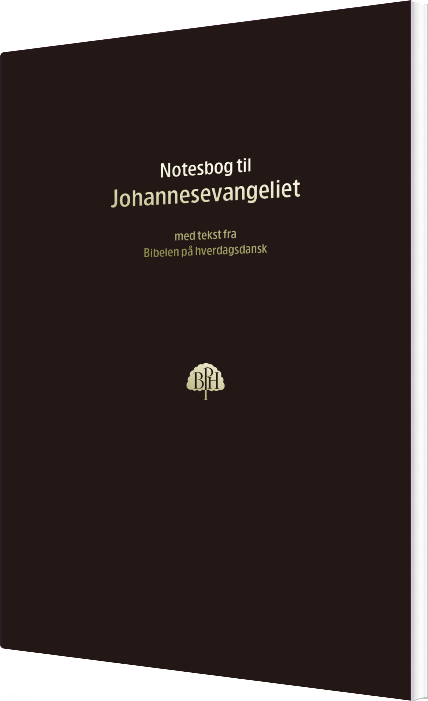Billede af Bibelnotesbog 4, Johannesevangeliet - Diverse - Bog