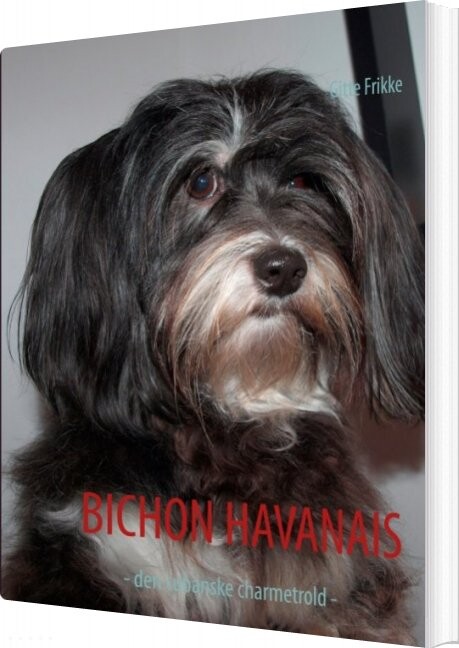 Billede af Bichon Havanais - Gitte Frikke - Bog