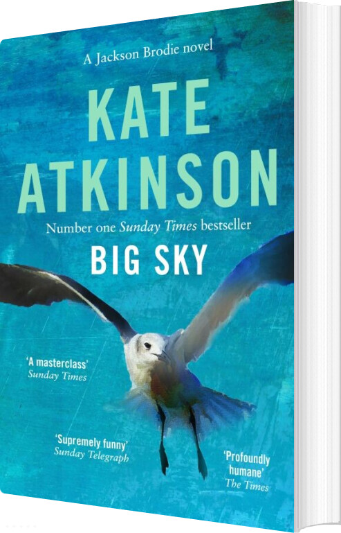 Big Sky - Kate Atkinson - English Book