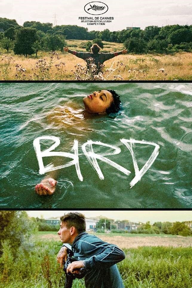 Bird - DVD - Film