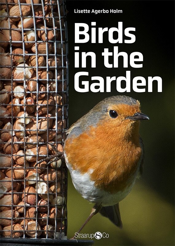 Birds In The Garden - Lisette Agerbo Holm - English Book - Straarup & Co