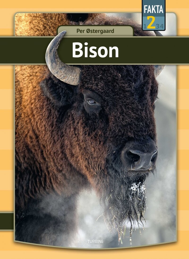 Forside til Bison - Per østergaard - Bog