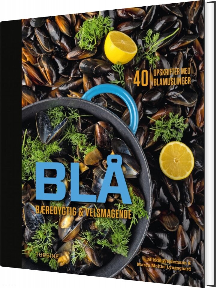 Billede af Blå - Mikkel Wejdemann - Bog