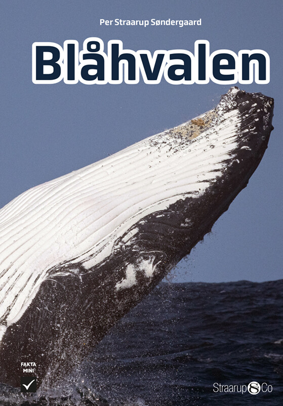 Blåhvalen - Per Straarup Søndergaard - Bog