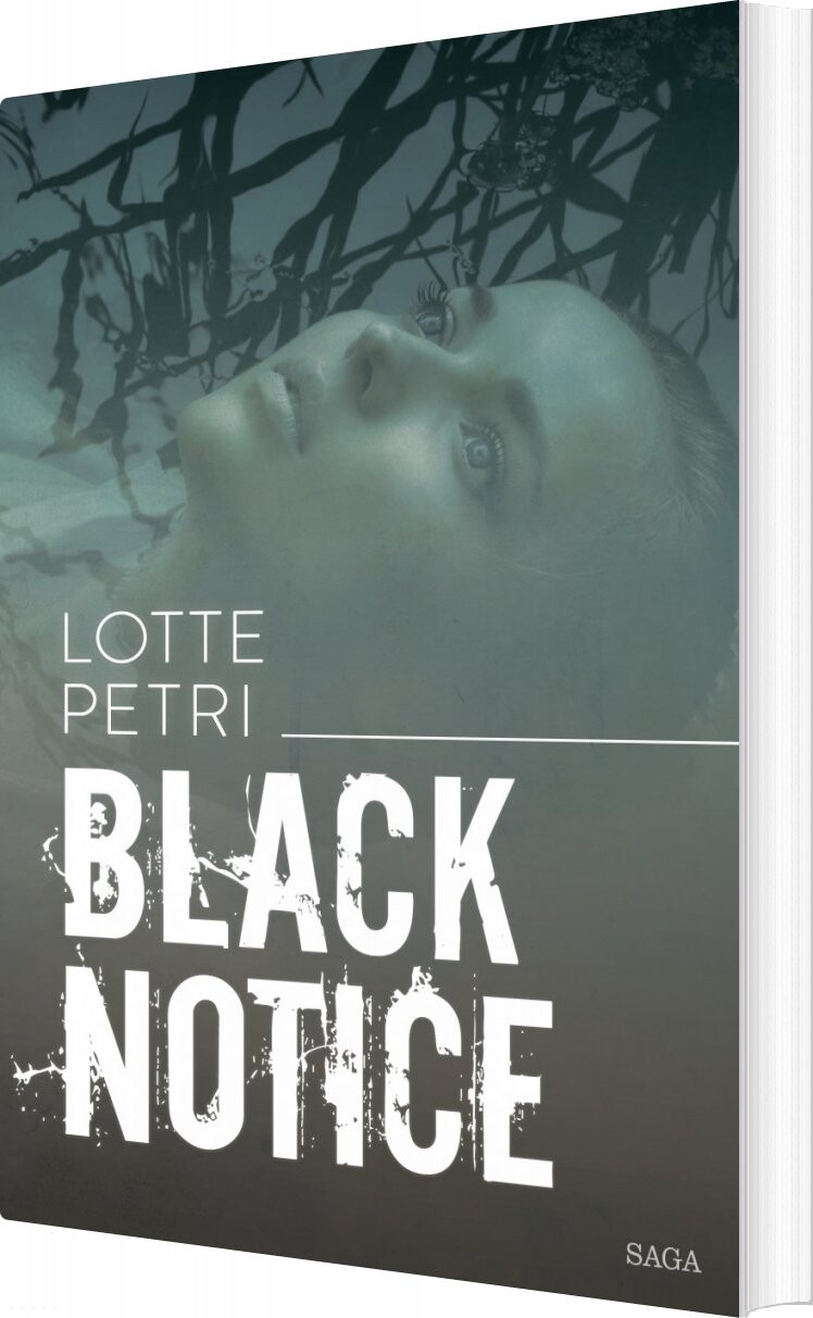 Black Notice - Lotte Petri - Bog