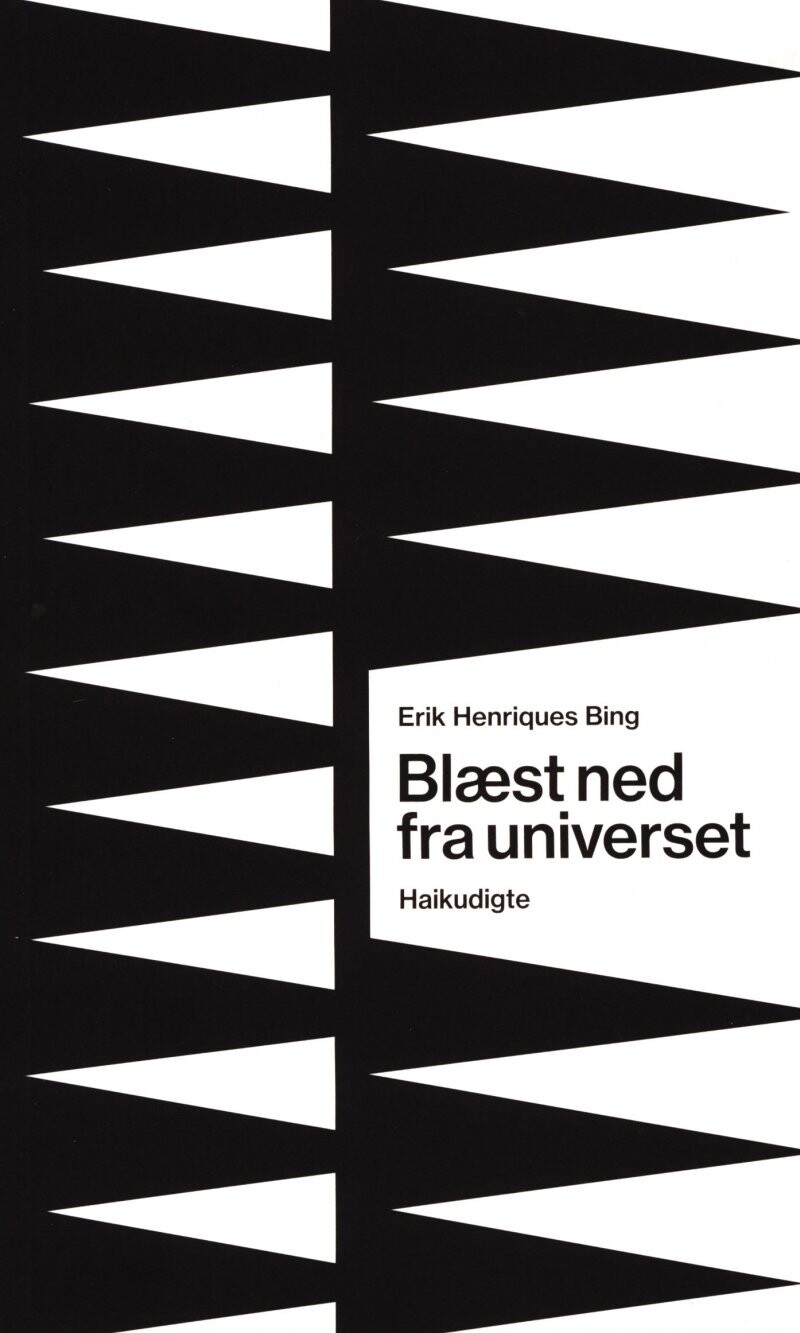 Billede af Blæst Ned Fra Universet - Erik Henriques Bing - Bog
