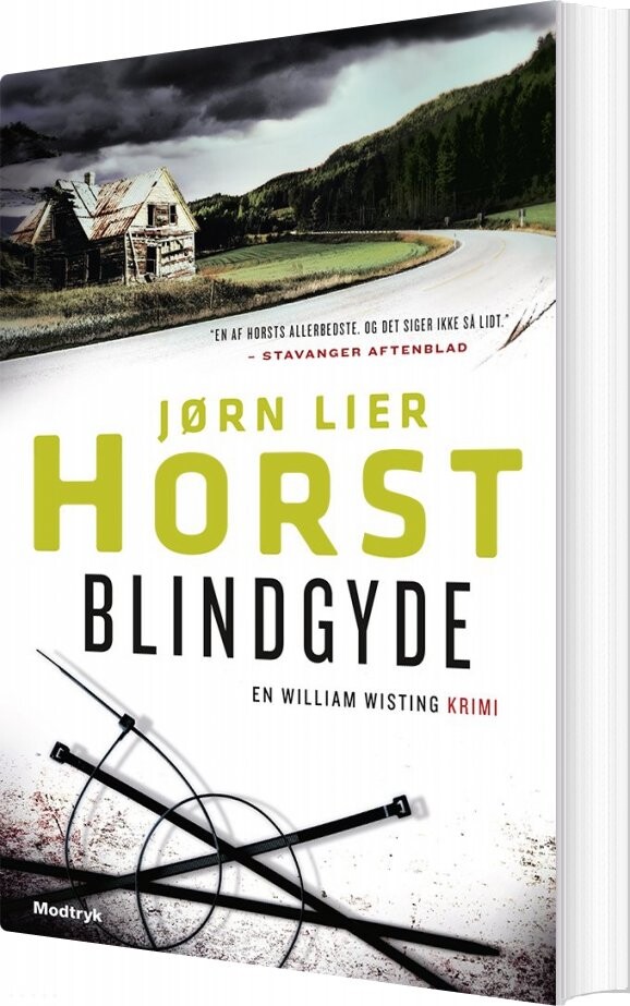 Blindgyde - Jørn Lier Horst - Bog