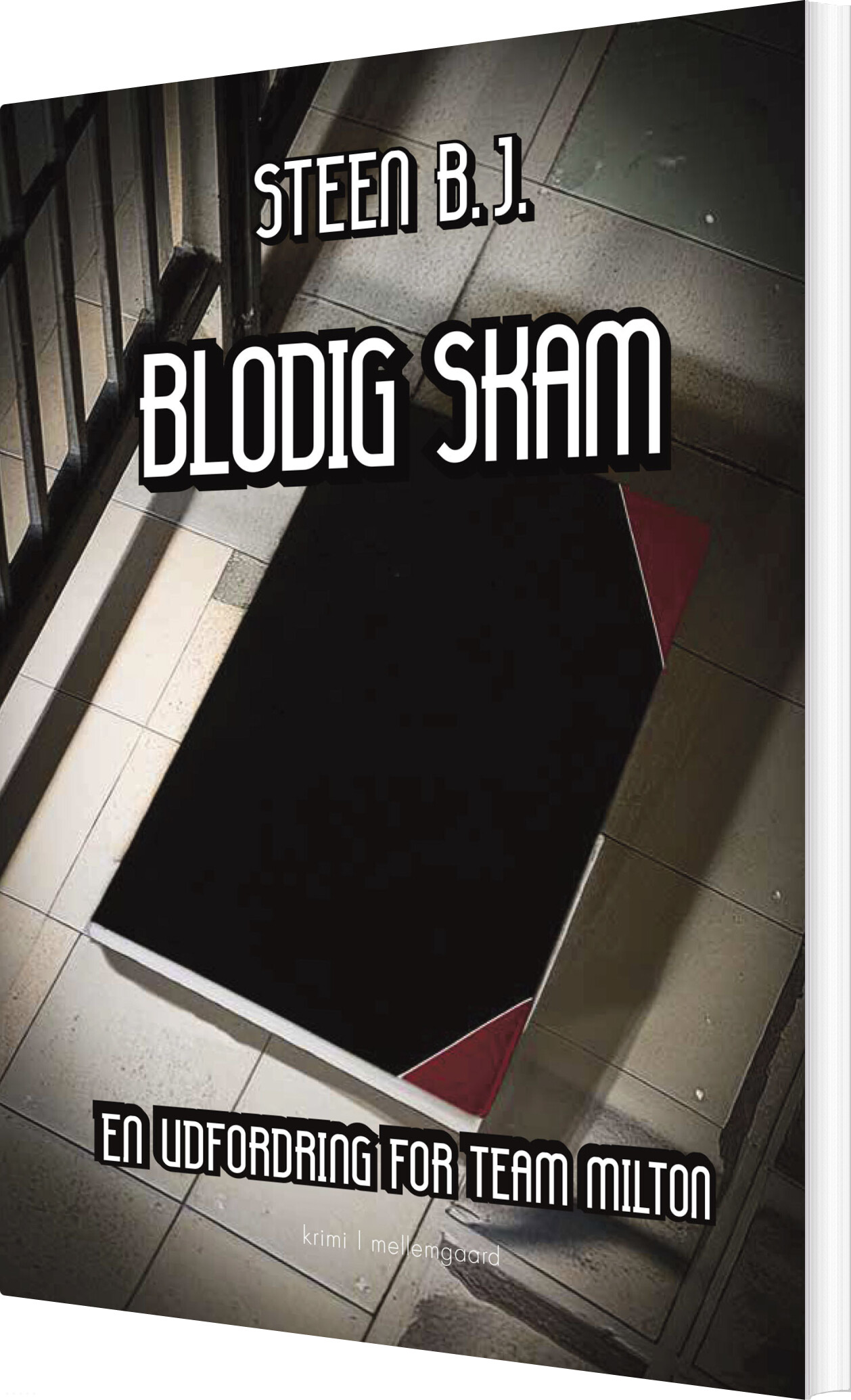 Blodig Skam - Steen B.j - Bog