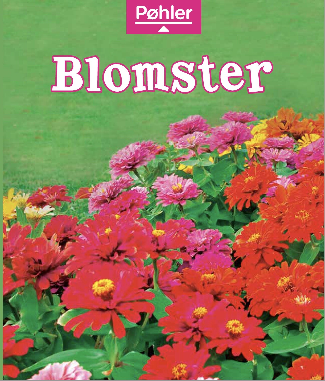 Blomster - John Carr - Bog - Forlaget Pøhler
