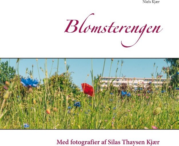 Billede af Blomsterengen - Niels Kjær - Bog