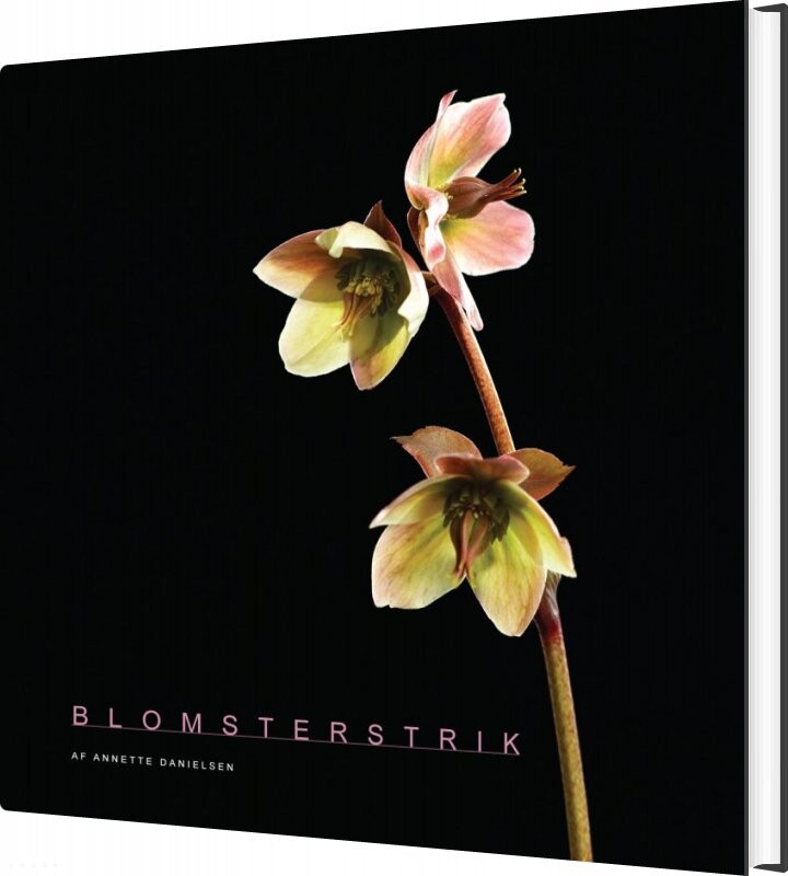 Blomsterstrik - Annette Danielsen - Bog