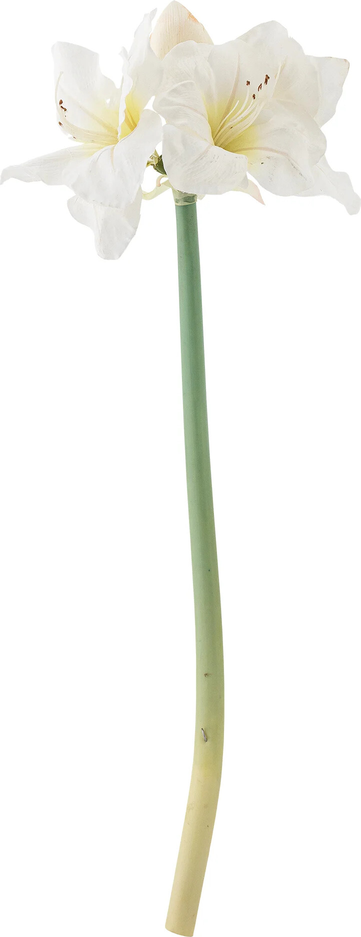 Bloomingville - Amaryllis Stilk, Hvid, Kunstige Blomster, D23xH74 cm