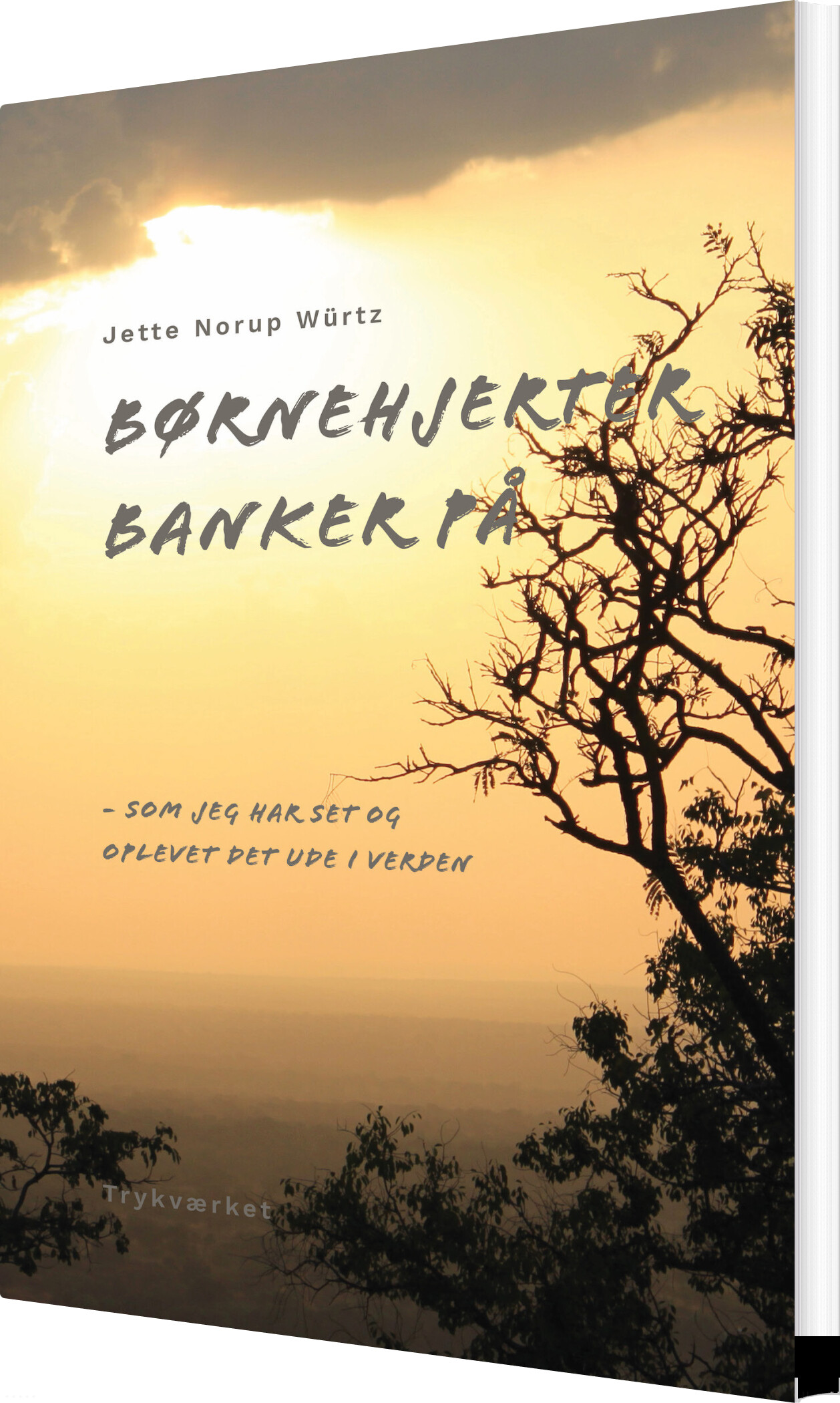 Billede af Børnehjerter Banker På - Jette Norup Würtz - Bog