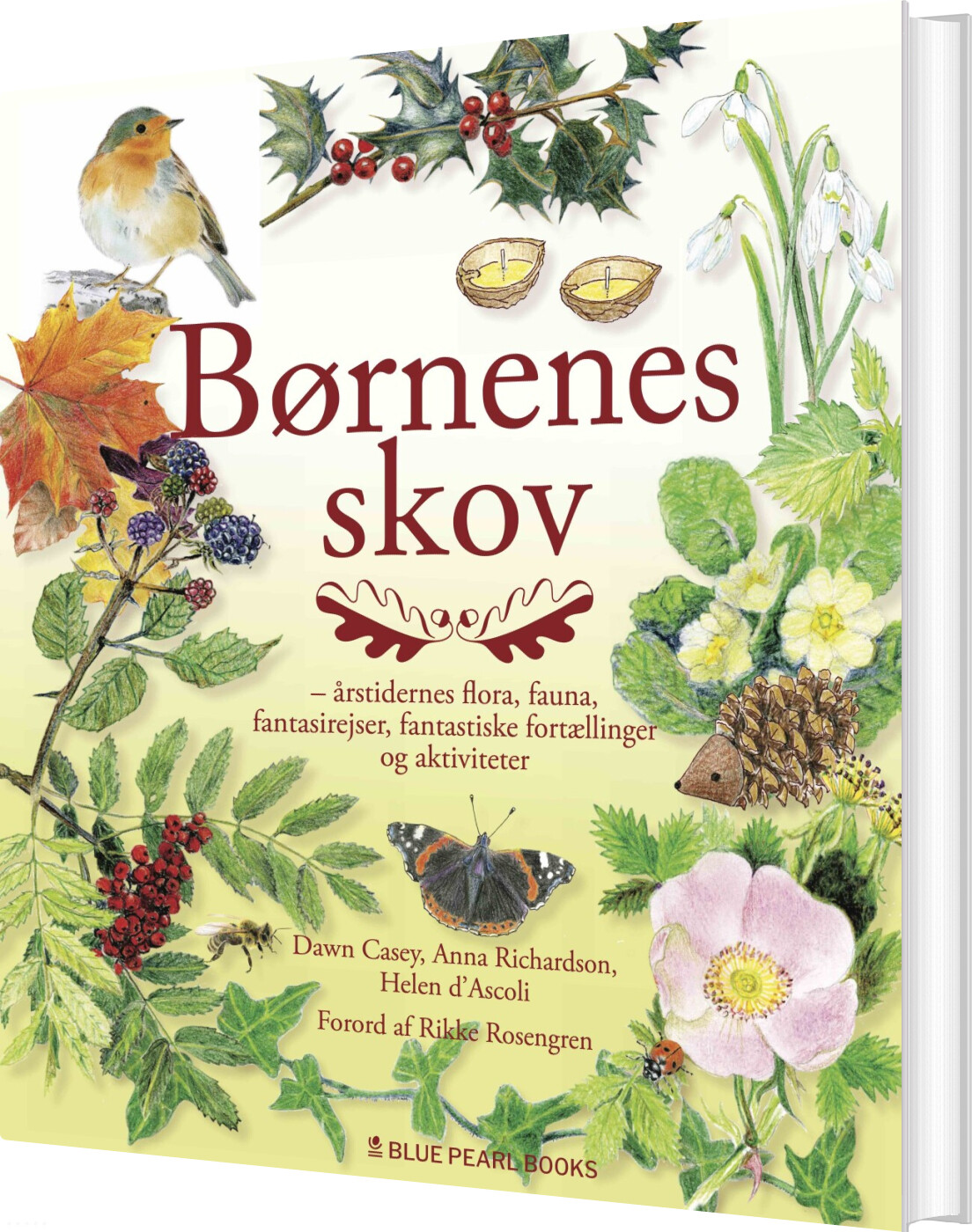 Billede af Børnenes Skov - Dawn Casey - Bog