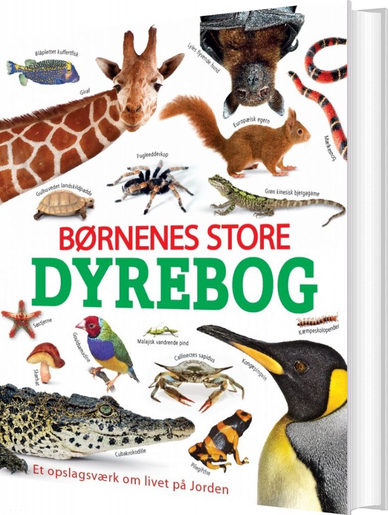 Billede af Børnenes Store Dyrebog - Diverse - Bog