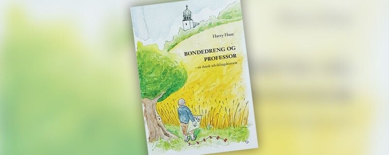 Bondedreng Og Professor - Harry Haue - Bog