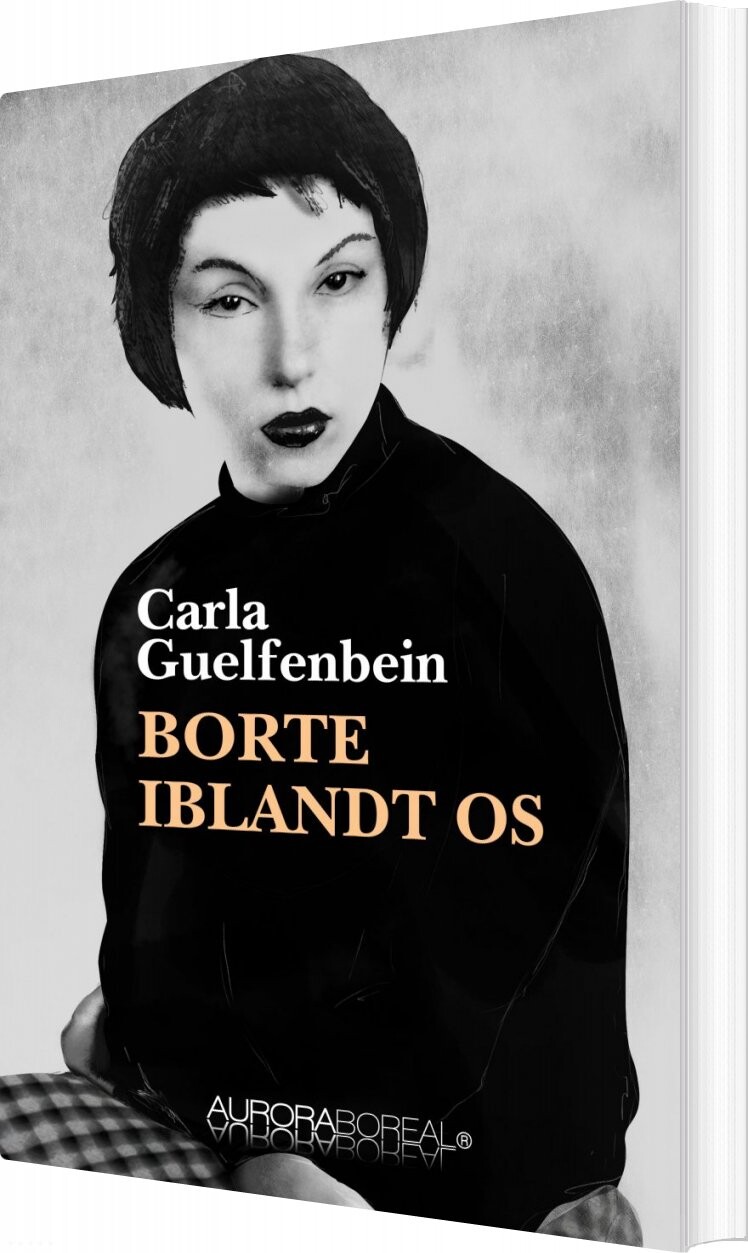 Billede af Borte Iblandt Os - Carla Guelfenbein - Bog