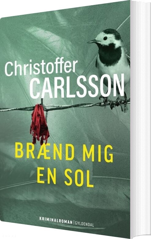 Brænd Mig En Sol - Christoffer Carlsson - Bog