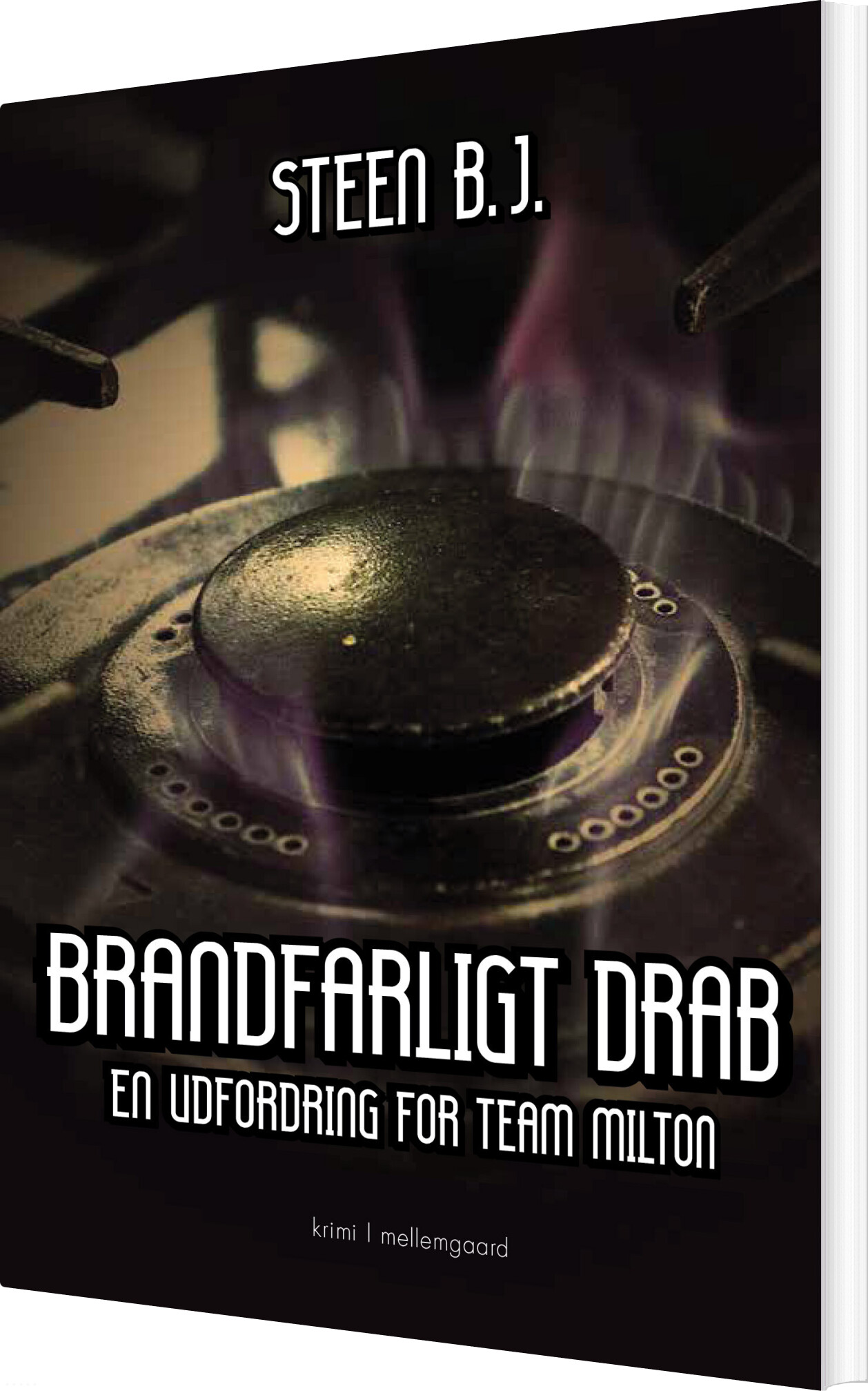 Brandfarligt Drab - Steen B.j - Bog