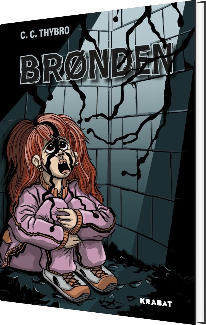 Billede af Brønden - C. C. Thybro - Bog