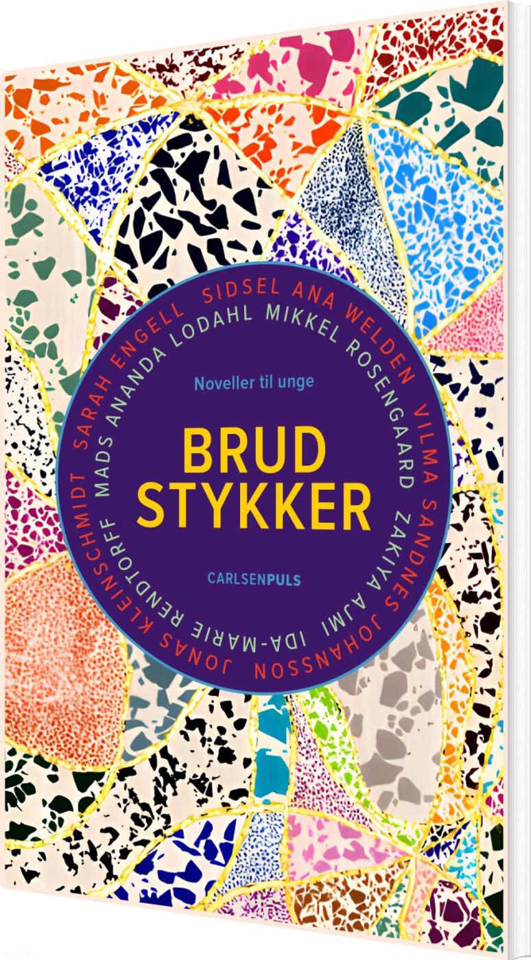 Billede af Brudstykker - Sarah Engell - Bog