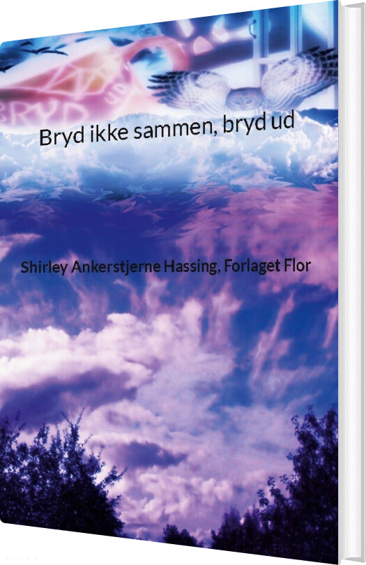 Bryd Ikke Sammen, Bryd Ud - Shirley Ankerstjerne Hassing - Bog