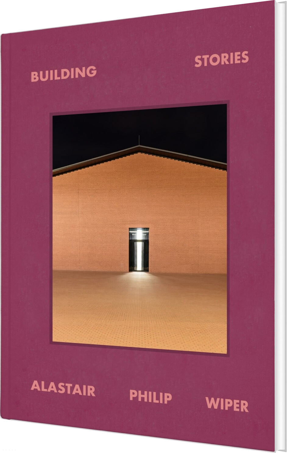 Building Stories - Alastair Philip Wiper - Bog