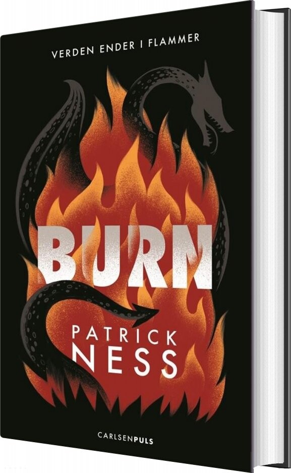 Billede af Burn - Patrick Ness - Bog
