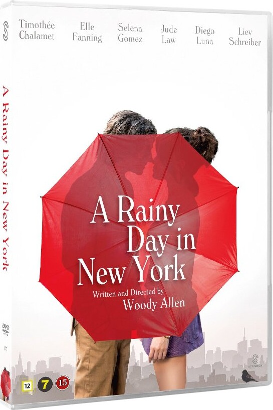 A Rainy Day In New York - DVD - Film