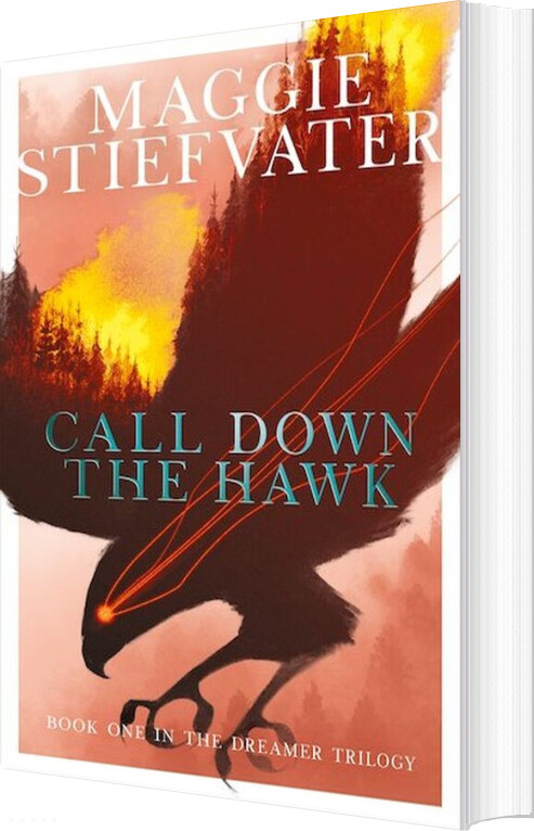 Billede af Call Down The Hawk - Maggie Stiefvater - English Book