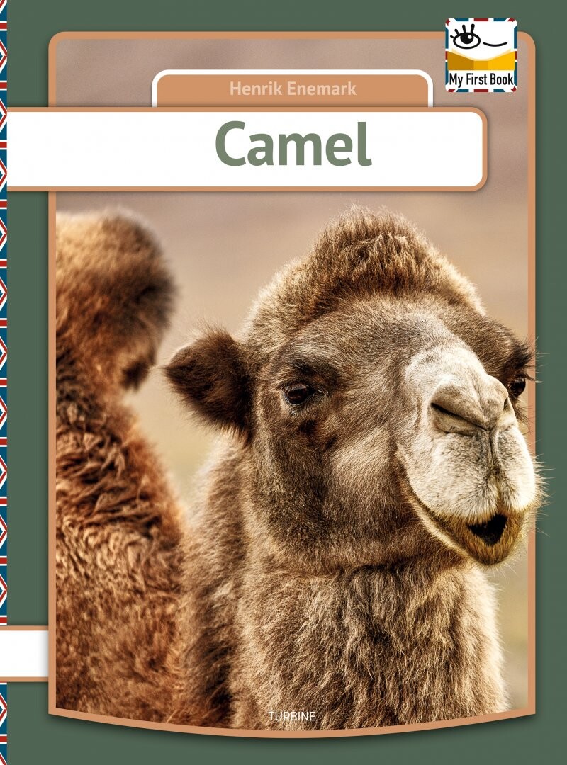Billede af Camel - Henrik Enemark - English Book
