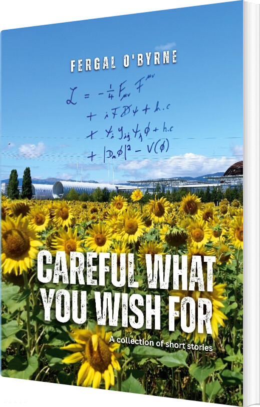 Careful What You Wish For - Fergal O'byrne - English Book