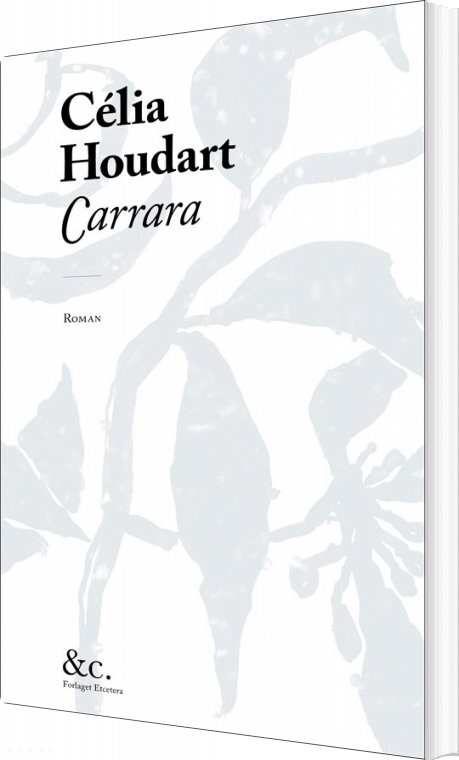 Billede af Carrara - Célia Houdart - Bog